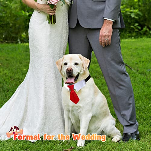 Collar para Perro, Pajarita Ajustable, Corbata para Mascotas, S / M / L, Collar Formal para Perro, Corbata para Traje de Boda para Perros pequeños y Gatos, Corbatas Accesorios para Fiestas (Rojo, L)