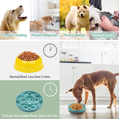 Comedero Lento para Perros y Gatos con Ventosas Antideslizante Silicona Comedero Perro para el Baño y el Adiestramiento de Perros Healthy Pet Bowl Grande