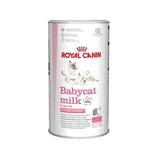 Comida para gatos y mascotas, comida para gatos, comida para gatos, leche para bebés, 300 g, 1 paquete