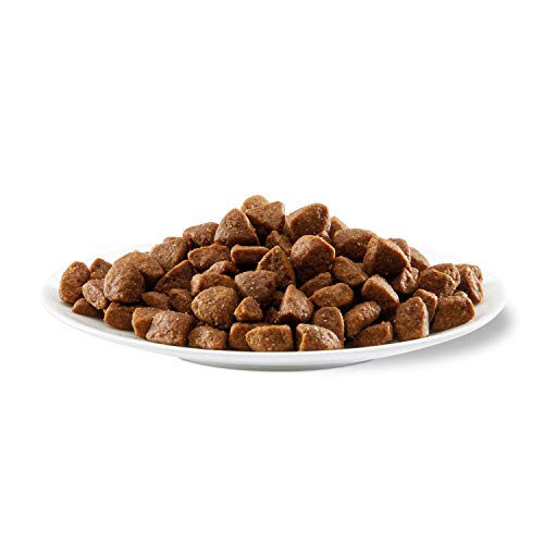 Comida seca de perros de Applaws, pollo, adultos de raza pequeñas y mediana, 2 kg