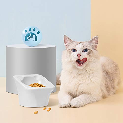 ComSaf Elevado Comedero para Gatos, Plato de Alimentación y Bebida de Cerámica para Gatos, Blanco, Material Saludable de Grado Alimenticio, Bigotes sin Estrés, Antideslizante