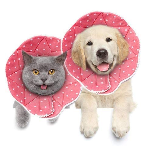 Cono de recuperación para gatos, almohada suave y cómoda para el cuello, para esterilización rápida o después de la cirugía, se adapta a todas las mascotas con circunferencia de cuello de 9 a 10, M