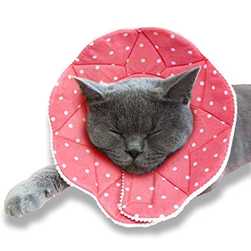 Cono de recuperación para gatos, almohada suave y cómoda para el cuello, para esterilización rápida o después de la cirugía, se adapta a todas las mascotas con circunferencia de cuello de 9 a 10, M