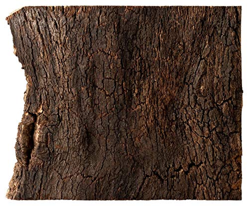 Corcho corteza | placa, trozos de corcho natural de la madera de corcho | 30x40x3 cm | sin tratar y natural | mercancía de la corteza de corcho |desinfectada térmicamente