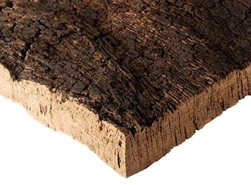 Corcho corteza | placa, trozos de corcho natural de la madera de corcho | 30x40x3 cm | sin tratar y natural | mercancía de la corteza de corcho |desinfectada térmicamente