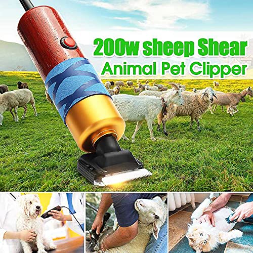 Cortadora eléctrica para esquila de ovejas, 200 W, 5 velocidades, ajustable, aceite de hoja de repuesto incluido para afeitar lana de piel en ovejas, caballos, ganado, ganado de granja, mascotas