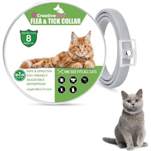 CreativeDom - Collar antiparasitario - antipulgas | Tratamiento antipulgas Gatos para Gatos | 8 Meses de protección contra Pulgas - Garrapatas y Mosquitos | Collar Gatos Pequeño-Mediano-Grande