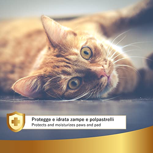 Crema Natural para Patas de Perros y Gatos, 50ml - Apta contra La Nieve Y El Frío - Bálsamo Hidratante Que Realiza Acción Defensiva - Restaura Y Repara Las Almohadillas - Linea 101