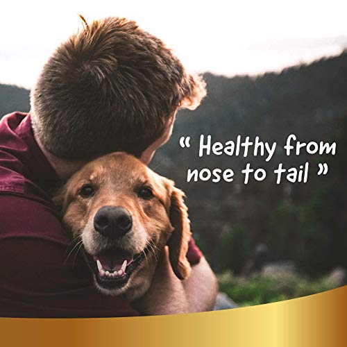 Crema Natural para Patas de Perros y Gatos, 50ml - Apta contra La Nieve Y El Frío - Bálsamo Hidratante Que Realiza Acción Defensiva - Restaura Y Repara Las Almohadillas - Linea 101