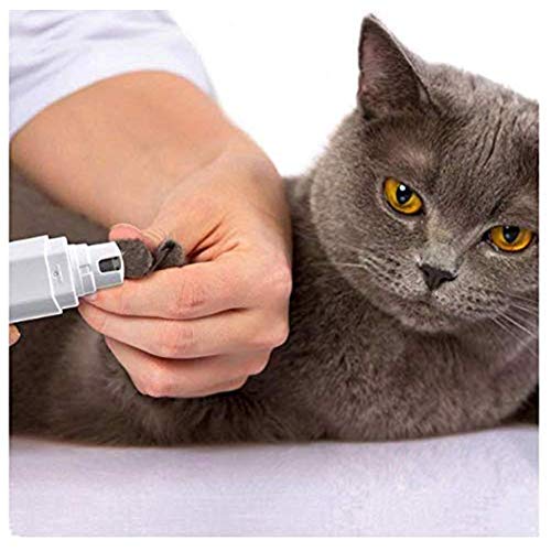 Csheng Amoladoras De Uñas para Perros Lima De Uñas para Perros Cortaúñas para Mascotas Cortaúñas para Cachorros Cortaúñas para Gatos Cortaúñas para Mascotas Pulidor De Uñas Eléctrico Blue