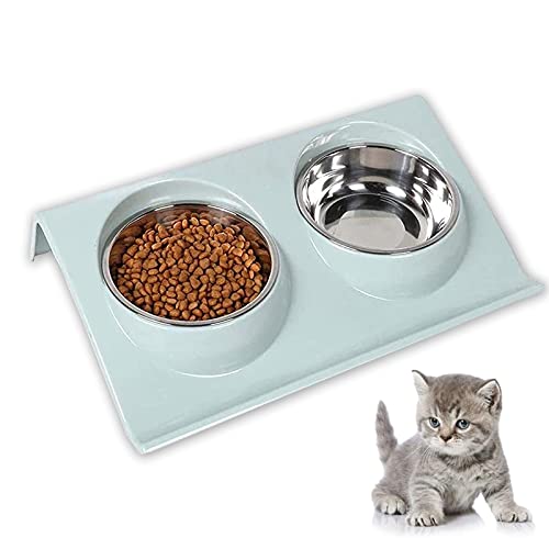 Cuenco del Gato,Cuenco Doble para Gatos,Comedero Gato 15° Inclinable Tazón Antideslizante Gato Cuenco,Comederos Perros Gatos para Gato y Perrito Cuenco para Gatos de Acero Inoxidable (Verde)