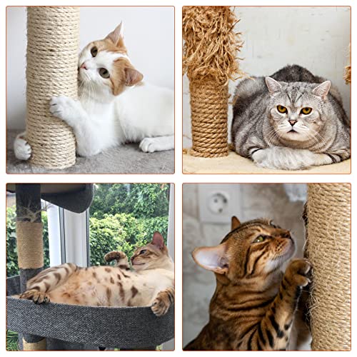 Cuerda de sisal para rascador de 20 m, 5 palitos de hierba gatera + juguetes para gatos para el cuidado dental de los gatos, palos de madera auténtica Matatabi, juguete para masticar con mango
