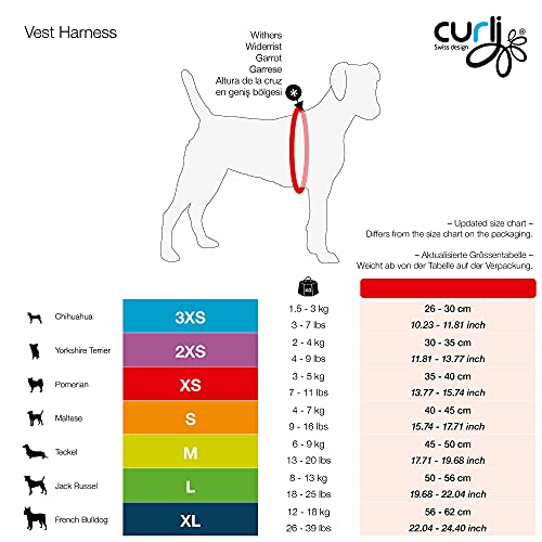 Curli Pet Supply, Gray, S