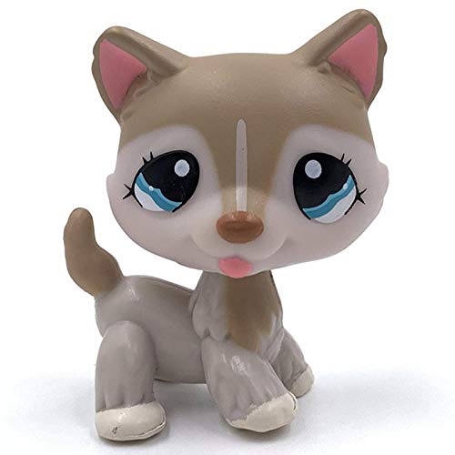CXSM LPS Cat Gato Raro Tienda de Mascotas Juguetes Lindos Soporte Pelo Corto Gatito Perro Salchicha Collie Gran danés Spaniel Cachorro colección de Animales Originales 3585