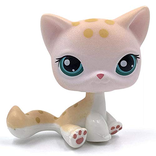 CXSM LPS Cat Gato Raro Tienda de Mascotas Juguetes Lindos Soporte Pelo Corto Gatito Perro Salchicha Collie Gran danés Spaniel Cachorro colección de Animales Originales 3585