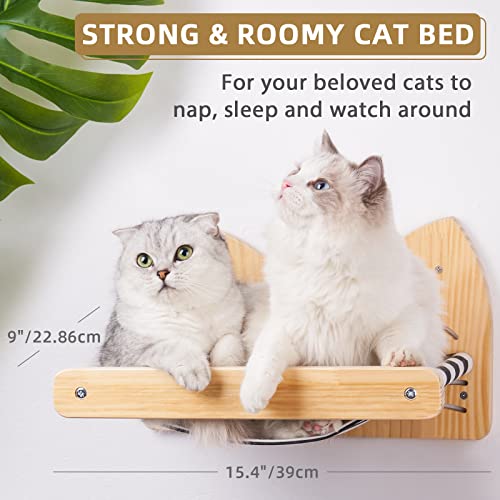 DaizySight - Estantería para gatos y perchas para pared, para dormir, jugar, escalar y descansar, soporta hasta 30 libras