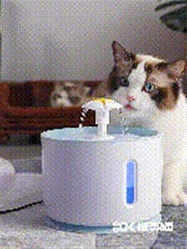DDSP Gato Automática Fuente del Animal Doméstico Potable Agua Dispensador Perro LED Eléctrico Alimentador del Gato Fuente Bebida Filtro USB Powered Durable (Color : Black, Size : S)