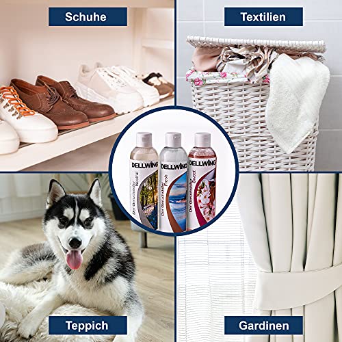 DELLWING Der geruchsskiller Premium Box - Spray neutralizador de olores (3 x 250 ml) - Eliminador de olores microbiológico para casa, gatos, perros, zapatos, humo, ropa, etc