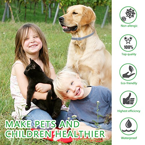 DEWEL Collar Antiparasitos Perro/Gato Pequeño Mediano Grandes contra Pulgas, Garrapatas y Mosquitos, 8 Meses