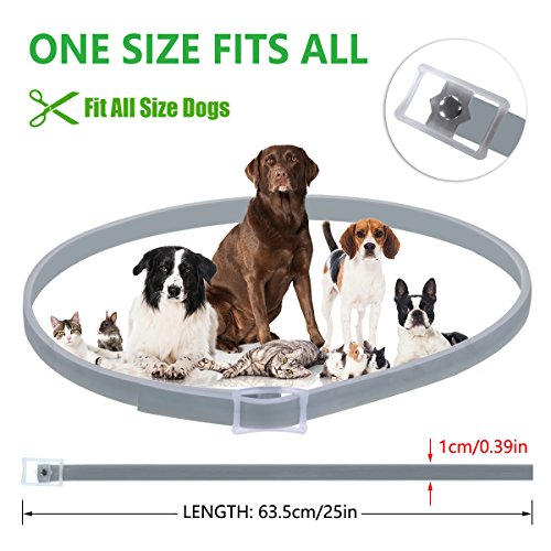DEWEL Collar Antiparasitos Perro/Gato Pequeño Mediano Grandes contra Pulgas, Garrapatas y Mosquitos, 8 Meses