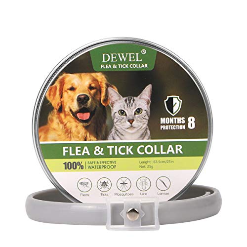 DEWEL Collar Antiparasitos Perro/Gato Pequeño Mediano Grandes contra Pulgas, Garrapatas y Mosquitos, 8 Meses