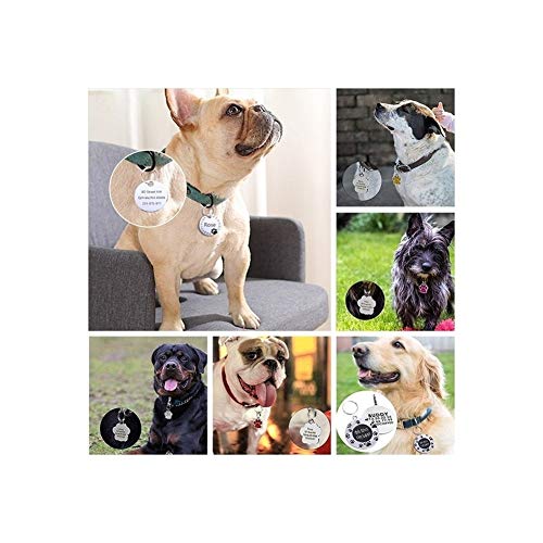 DHDHWL Placas Identificación 1pcs de grabado personalizado animal doméstico del gato etiqueta del nombre del collar de perro etiqueta de accesorios Placa de características anti-perdida colgante llave
