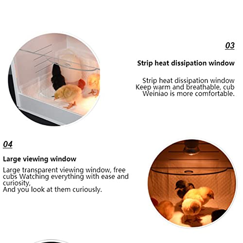 DHYBDZ Caja de cría de Pollos con lámpara de calefacción, Caja de cría Impermeable Grande para Animales pequeños, Accesorios de cría cálidos para Mascotas para incubadoras de Aves Tortuga,Small Size
