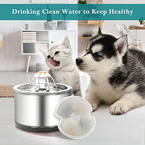 Diealles Shine Filtros Fuente para Gatos, Paquete de 4 Filtros Fuente Gatos con Resina y Carbón Activo, Filtro de Fuente de Agua para Gatos para Fuentes de Flores