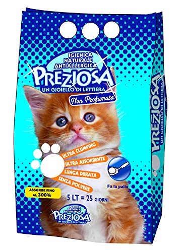 DIGMA Arena para Gatos Super aglomerante Blanca Fina sin perfumar – Paquete de 5 litros (8033378490465)