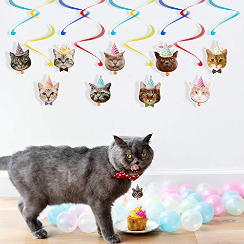 Disfraz de gato, 1 juego de pancarta de cumpleaños para mascotas, púas para tartas, gatos, cupcakes, decoración de postres