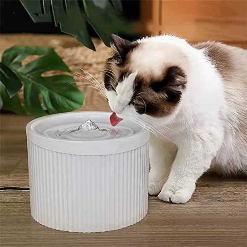 Dispensador de agua automático para mascotas, dispensador de agua automático para gatos, dispensador de agua para perros, dispensador de agua automático para gatos, flujo sin boca húmeda