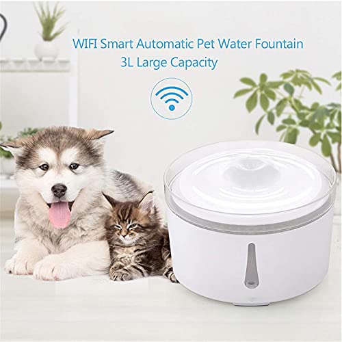 Dispensadores de agua para masco 2 L Fuente de agua de gato automática eléctrica DIRIGIÓ Mute bebedor alimentador perro gato agua bebiendo tazón USB Dispensador de agua para mascotas Fuente de agua pa