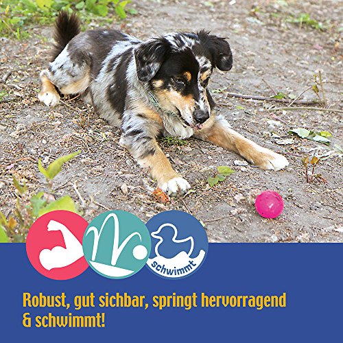 Dog Comets – Pelota Stardust Rosa – 6 cm – 1 Unidad