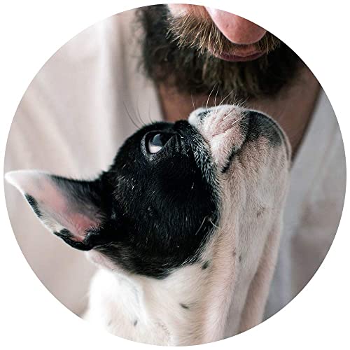 DOG FIT by PreThis® Fresh | Contro l'alitosi e le gengiviti nei cani 100% Naturale | 16 erbe per una Flora orale Sana