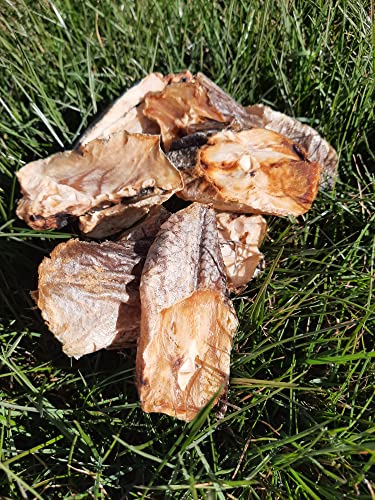 DOGNIA | Rodajas de merluza deshidratada | Snack Natural para Perros Sabor Pescado 16piezas