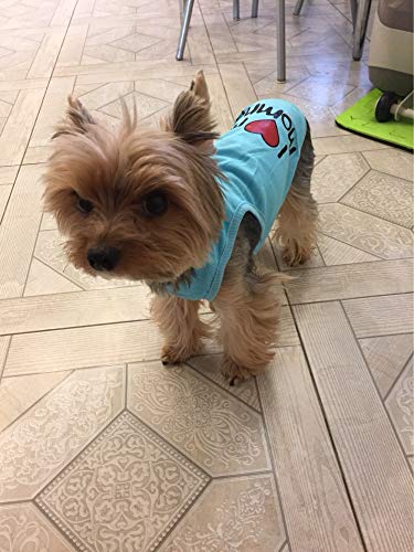 Ducomi Pets Love - Camiseta para perro y gato de algodón - Camiseta de verano para perros de pequeño y mediano tamaño y cachorros - Ropa suéter chihuahua, caniche y Razzs Toy (S, Mommy Orange)