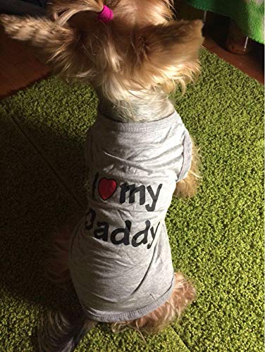 Ducomi Pets Love - Camiseta para perro y gato de algodón - Camiseta de verano para perros de pequeño y mediano tamaño y cachorros - Ropa suéter chihuahua, caniche y Razzs Toy (S, Mommy Orange)