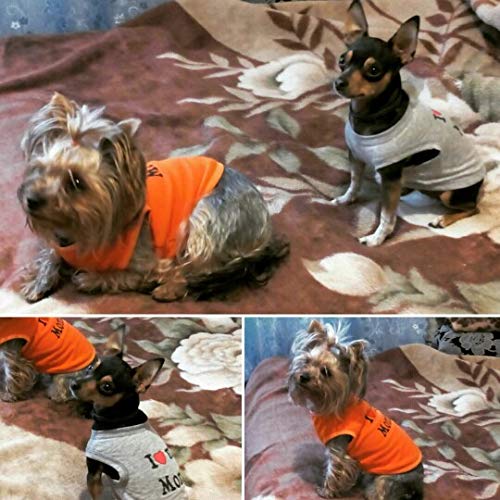Ducomi Pets Love - Camiseta para perro y gato de algodón - Camiseta de verano para perros de pequeño y mediano tamaño y cachorros - Ropa suéter chihuahua, caniche y Razzs Toy (S, Mommy Orange)