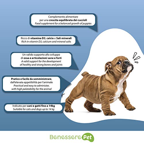 DYNAMOPET BenesserePet Puppy Complemento alimenticio para Cachorros 100gr, promueve el Crecimiento equilibrado de Perros y Gatos Cachorros, complemento para Huesos y articulaciones Fuertes