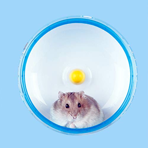 DZL- Rueda de plástico para hámster Rueda para cobayas, Rueda Hamster Silent Running Rodillo Ejercicio Juguete de Ruedas for Mascotas pequeñas hámster Color Aleatorio(Rueda14CM)