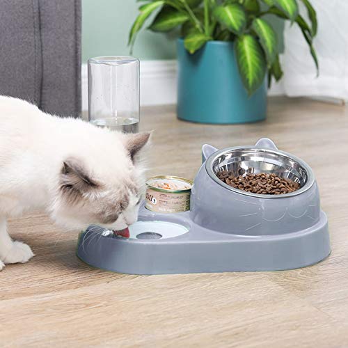 Dzmuero cuenco de gato elevado,Comedero para Perros y Gatos Perros y gatos Juego de cuencos dobles 500ml dispensador automático de agua para mascotas cuenco para gatos con diseño inclinable (gris)