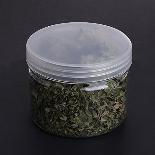 ECMQS Silvervine Natural hojas gato Catnip secadas Polonum Matatabi, juguetes sabores