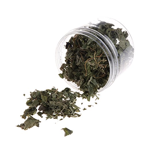 ECMQS Silvervine Natural hojas gato Catnip secadas Polonum Matatabi, juguetes sabores