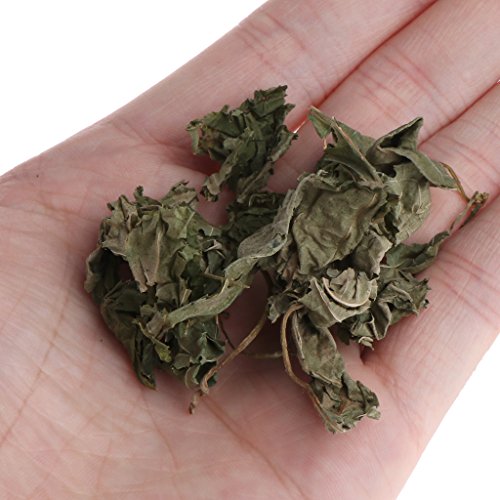 ECMQS Silvervine Natural hojas gato Catnip secadas Polonum Matatabi, juguetes sabores