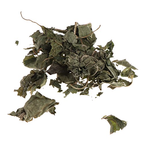 ECMQS Silvervine Natural hojas gato Catnip secadas Polonum Matatabi, juguetes sabores