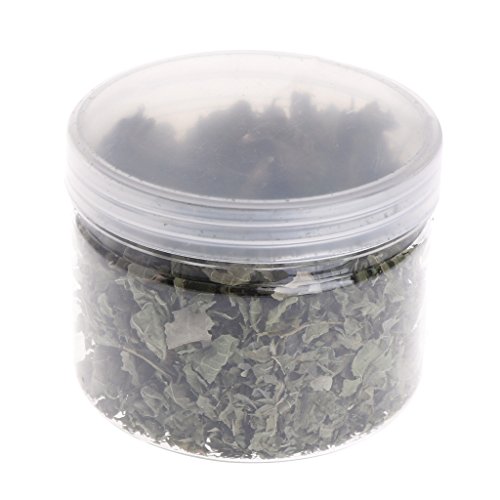 ECMQS Silvervine Natural hojas gato Catnip secadas Polonum Matatabi, juguetes sabores
