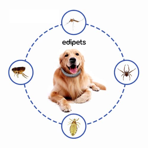 Edipets, Collar Antiparasitario Perros y Gatos, Eficaz contra Pulgas, Garrapatas, Larvas, Piojos y Mosquitos, para Mascotas Pequeñas, Medianas y Grandes. (S)
