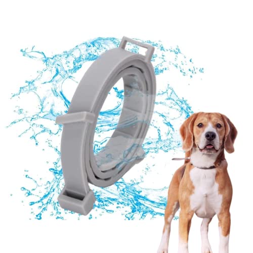 Edipets, Collar Antiparasitario Perros y Gatos, Eficaz contra Pulgas, Garrapatas, Larvas, Piojos y Mosquitos, para Mascotas Pequeñas, Medianas y Grandes. (S)