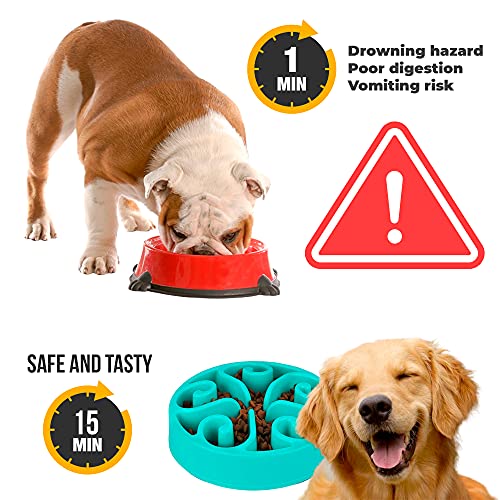 Edipets, Comedero para Perro, Antivoracidad, Alimentación Lenta, para Mascotas Pequeñas, Medianas y Grandes, Plato Interactivo Evita Ansiedad (Azul)