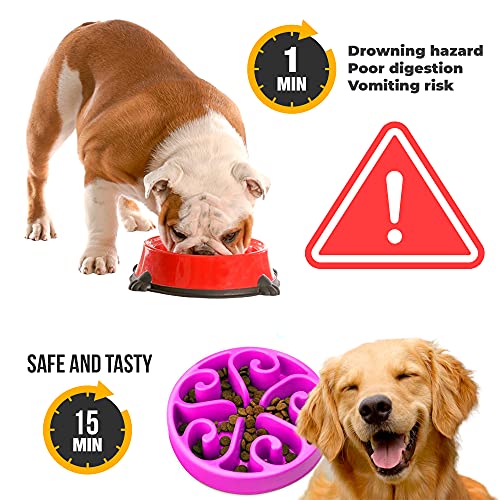 Edipets, Comedero para Perro, Antivoracidad, Alimentación Lenta, para Mascotas Pequeñas, Medianas y Grandes, Plato Interactivo Evita Ansiedad (Morado)